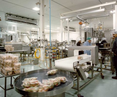 Vegetables on conveyor belt at vegetable processing plant