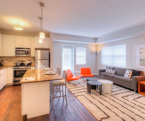Kitchen and living area at Midtown Square apartments