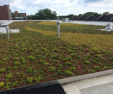 Roof of the University of Chicago Facilities Services Building
