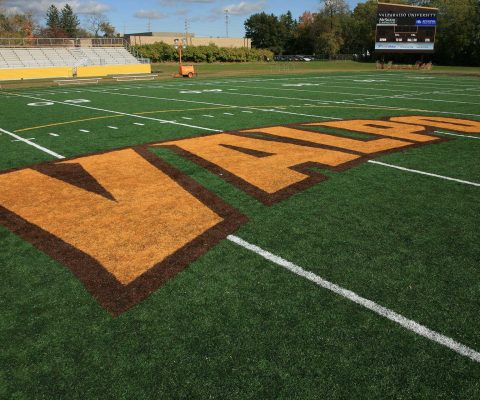 Detail of football field at Valparaiso