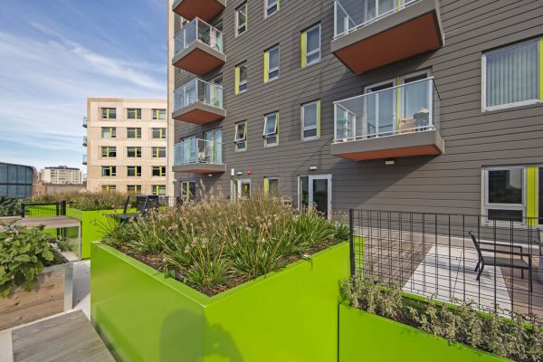 Clybourn 1200 roof top garden